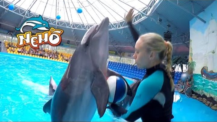 Дельфинарий Немо Киев Dolphinarium Nemo Kiev Дельфинарий Немо Киев Dolphinarium Nemo Kiev