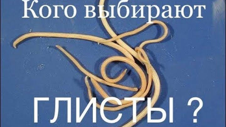 ГЛИСТЫ ,гельминтоз ,симптомы,профилактика и лечение лучшими народными средствами ! ГЛИСТЫ ,гельминтоз ,симптомы,профилактика и лечение лучшими народными средствами !