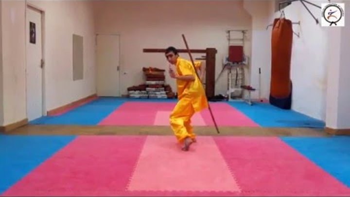 Kung Fu - Wing Chun Armenia 2016 (part 1)