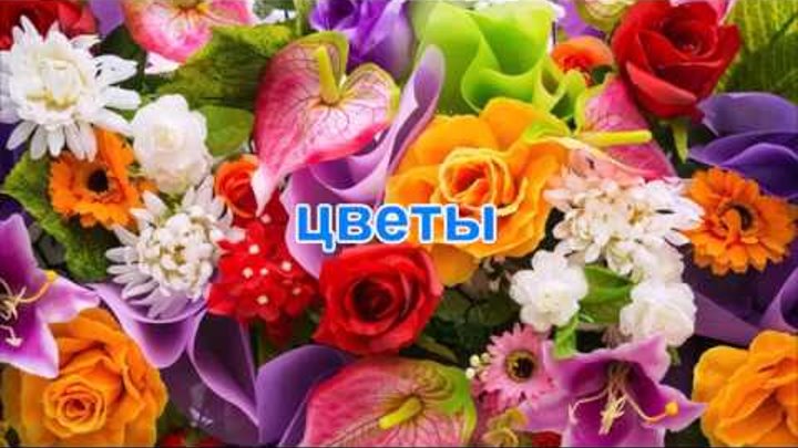Цветы. Развитие речи детей. смотреть онлайн Цветы. Развитие речи детей.