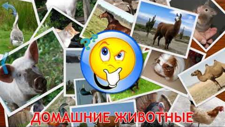Для детей: Малыш учит животных, домашние животные Для детей: Малыш учит животных, домашние животные