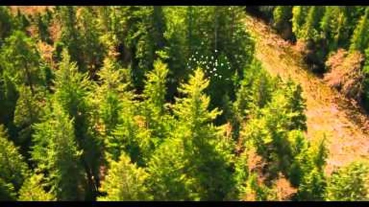 Сумерки Сага Рассвет 2 - The Twilight Saga Breaking Dawn Part 2 (Trailer) HD Сумерки Сага Рассвет 2 - The Twilight Saga Breaking Dawn Part 2 (Trailer) HD