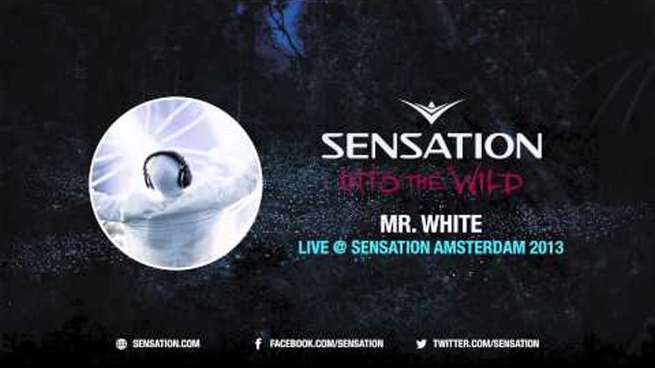 Mr. White - Live @ Sensation Amsterdam 2013 Mr. White - Live @ Sensation Amsterdam 2013