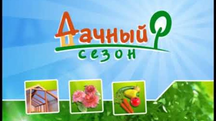 Дачный сезон 7 октября 2017 смотреть онлайн Дачный сезон 7 октября 2017