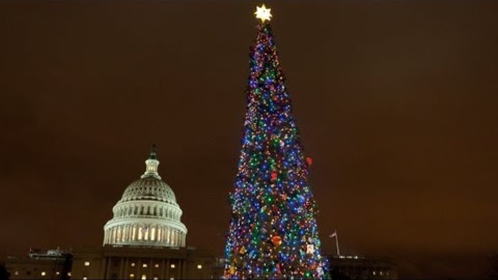 TIME-LAPSE: The 2011 U.S. Capitol Christmas Tree