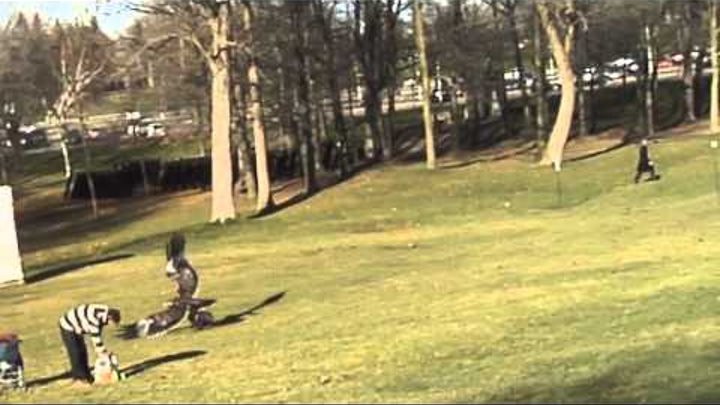 Un Aigle royal attrape un enfant dans un parc