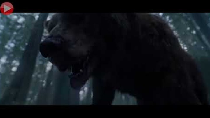 Leonardo Dicaprio - The Revenant ( Bear Attack Scene )