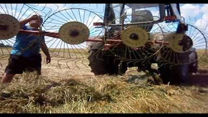 Трактор МТЗ 82 Беларус 920 гребет сено. Польские грабли ворошилки. КЛИП