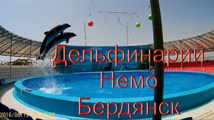 Дельфинарий Немо Бердянск Full HD июнь 2016 - выступление дельфинов - Dolphinarium Nemo in Berdyansk смотреть онлайн Дельфинарий Немо Бердянск Full HD июнь 2016 - выступление дельфинов - Dolphinarium Nemo in Berdyansk