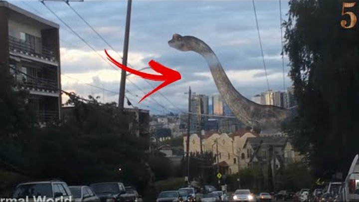 5 Dinosaur Caught On Camera & Spotted In Real Life! - Paranormal TOP 5