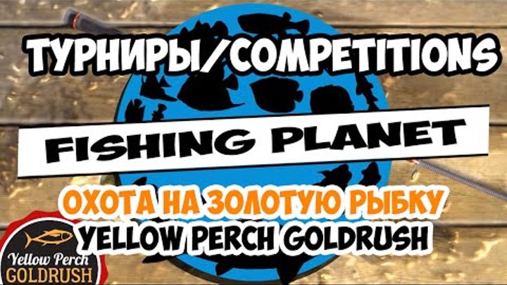 Fishing Planet Турниры Как ловить Трофейного Желтого Окуня Охота на золотую рыбку Yellow Perch G