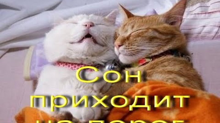 Сон приходит на порог (колыбельная) из кинофильма Цирк (И. Дунаевский) Сон приходит на порог (колыбельная) из кинофильма Цирк (И. Дунаевский)