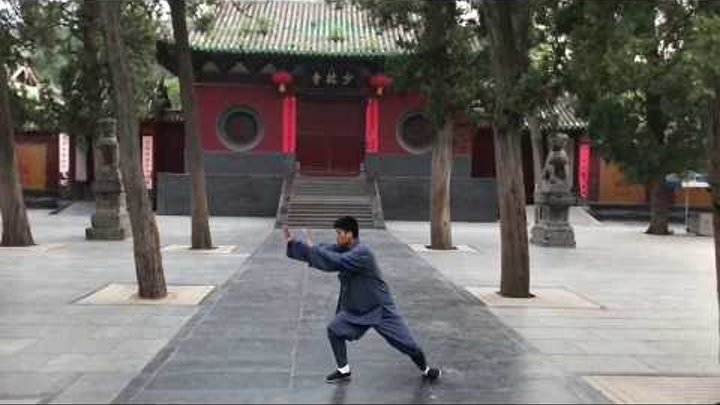 Комплекс Дракон (Long Xin Yi Lui) стиля Shaolin Xin Yi Ba