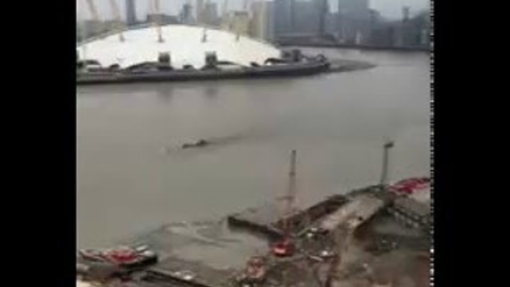 Mysterious Giant Creature/Object In The Thames