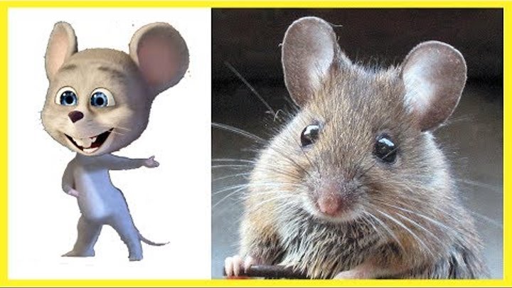 Маша и Медведь в Реальной жизни in Real life Герои Мультика. Маша и Принц 5 серия Маша и Медведь в Реальной жизни in Real life Герои Мультика. Маша и Принц 5 серия