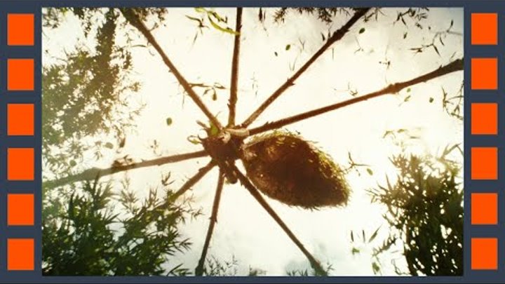 Нападение гигантского паука — «Конг: Остров черепа» (2017) сцена 2/8 HD