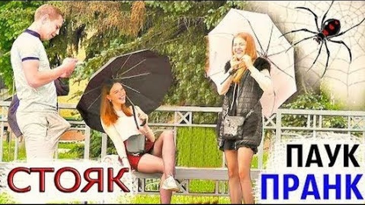 ПРАНК / РАССТРЕЛЯЛ ЛЮДЕЙ / ОГРОМНЫЙ ПАУК / РЕАКЦИЯ ЛЮДЕЙ / РОЗЫГРЫШ НАД ЛЮДЬМИ ПРАНК / РАССТРЕЛЯЛ ЛЮДЕЙ / ОГРОМНЫЙ ПАУК / РЕАКЦИЯ ЛЮДЕЙ / РОЗЫГРЫШ НАД ЛЮДЬМИ