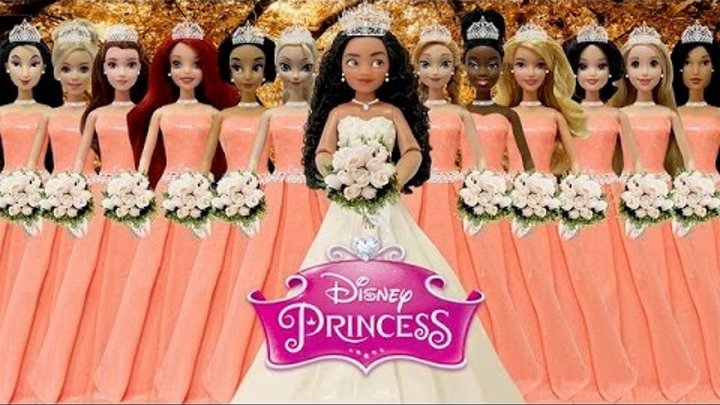 Play Doh "Disney Princess" "MOANA" Anna Elsa Tiana Belle Rapunzel Ariel Wedding Dress