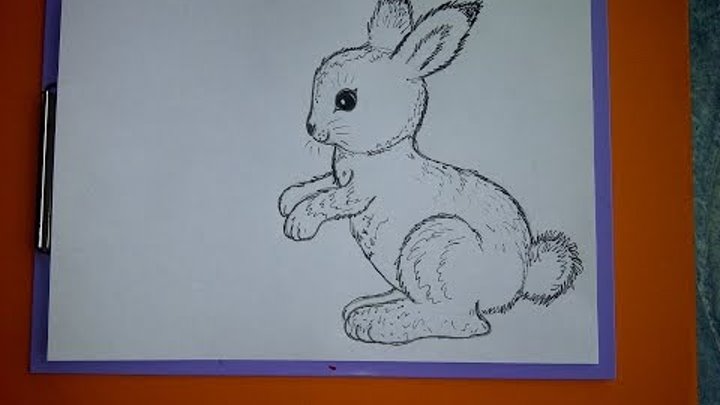 Рисуем животных, оформляем весенние открытки. "Пасхальный заяц (кролик)"
