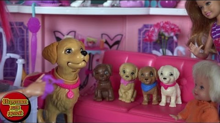 Сериал куклы Барби Жизнь в доме мечты, Таффи родила щенят, Барби и Щенки Мультфильм для детей