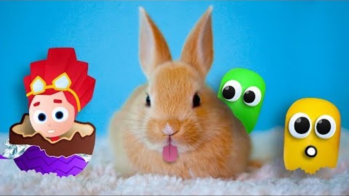 Мультики. Все серии подряд. Киндер Сюрприз. Фиксики, Щенячий патруль, Лунтик, Барбоскины Мультики. Все серии подряд. Киндер Сюрприз. Фиксики, Щенячий патруль, Лунтик, Барбоскины