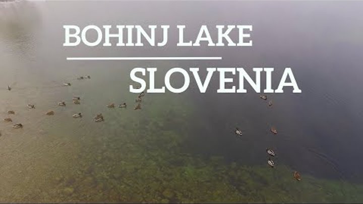 Bohinj Lake, Slovenia. Bohinjsko jezero. Словения, озеро Бохинь