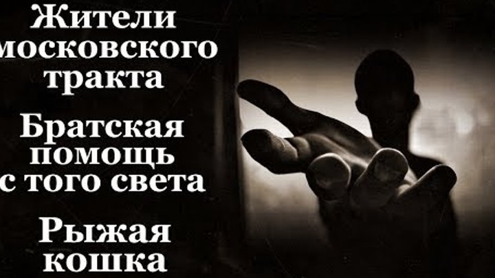 Истории на ночь (3в1): 1.Жители московского тракта, 2.Братская помощь с того света, 3.Рыжая кошка