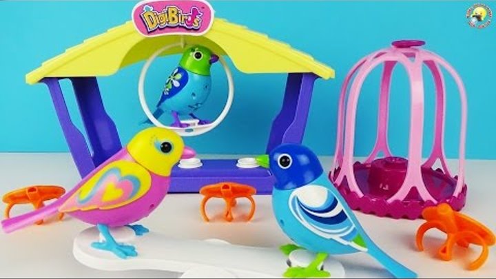 DigiBirds – поющие птички для детей, обзор интерактивной игрушки / Singing Birds Toys