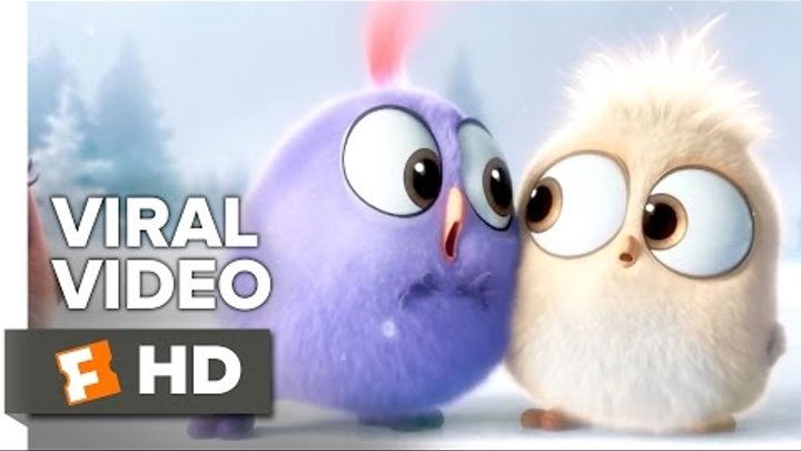 The Angry Birds Movie VIRAL VIDEO - Season's Greetings from the Hatchlings (2016) - Animation HD