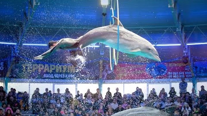Дельфинарий Немо Киев Дельфинарий Немо Киев