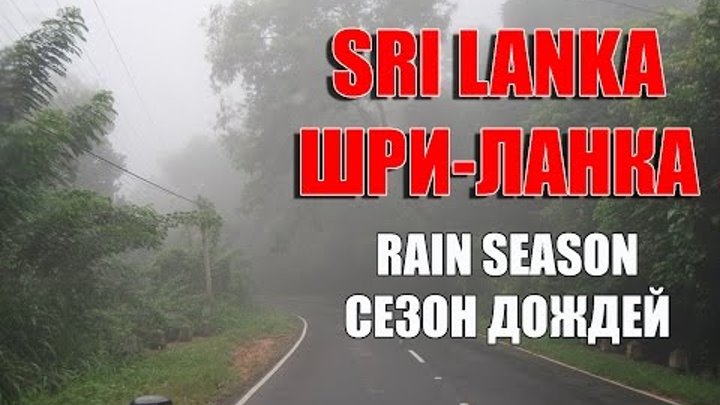 Rain season on Sri Lanka/ Сезон дождей на Шри Ланке. Видеоотчет.
