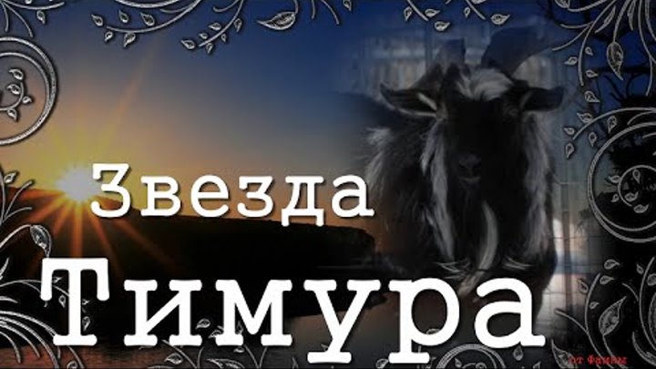 Видеоролик Фаины Олиной "Звезда Тимура"