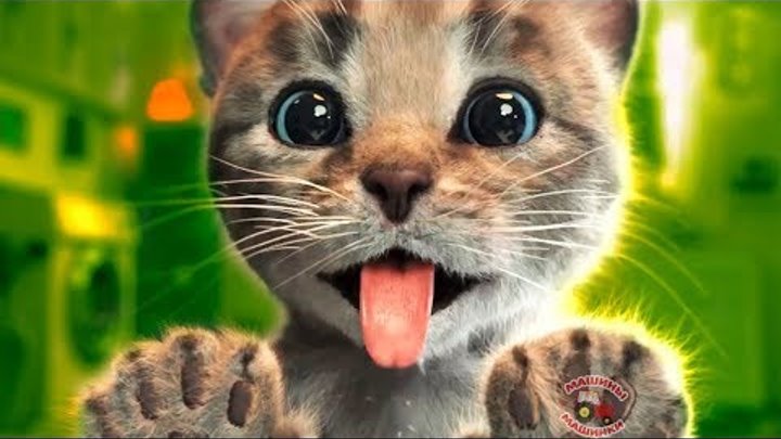 Мой Маленький Котик мультик игра для маленьких детей #мимимишка летсплей мультфильм новые серии 2018