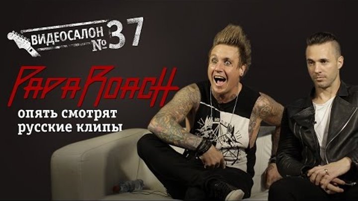 Русские клипы глазами Papa Roach (Видеосалон №37) — следующий 29 июля