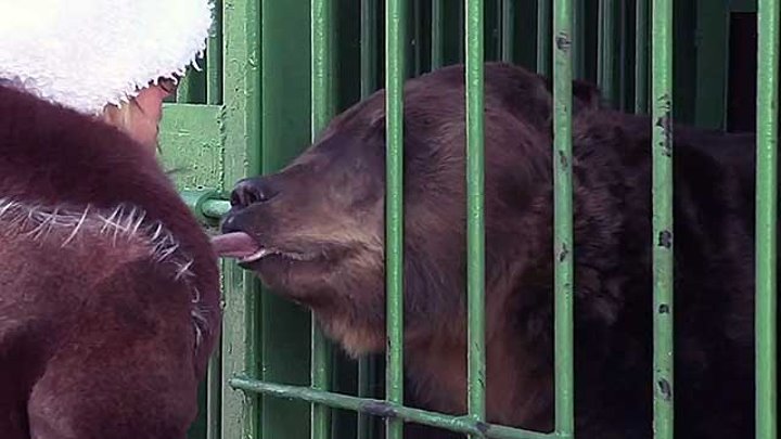 В Уссурийске открыли новый зоопарк взамен того, что был уничтожен наводнением в августе - Первый канал