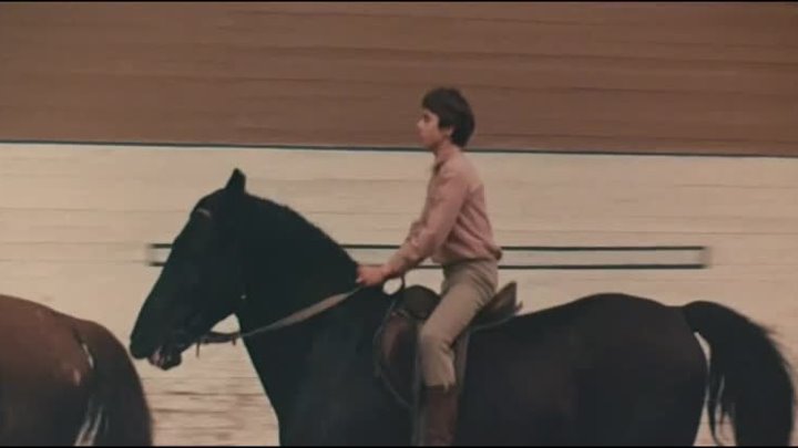 Эта лошадь красива и своенравна. Самый красивый конь (1976). Алмазов самый красивый конь.