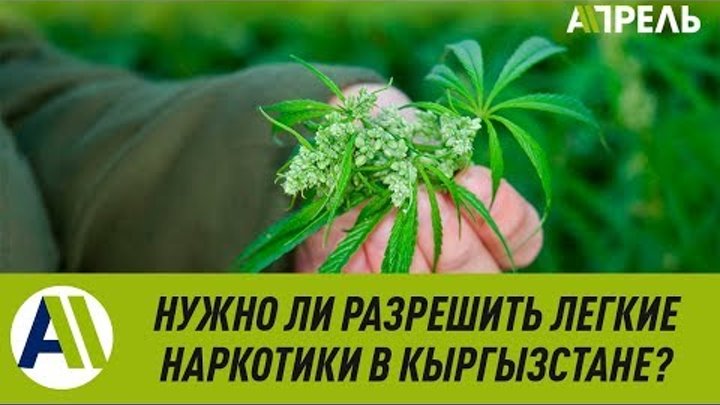 в кыргызстане легализация марихуаны