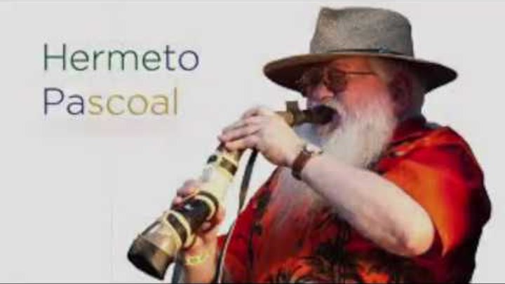 Hermeto pascoal discography torrent 6pm patagonia torrentshell stretch