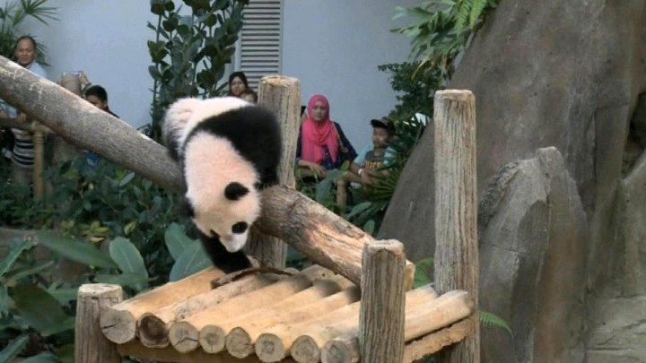 Зоопарк куала лумпур Зоопарк куала лумпур