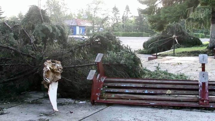 На Алтайский край обрушился мощный ураган. Новости. Первый канал