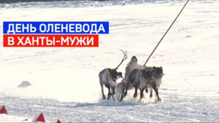 Главный праздник оленеводов отгремел в деревне Ханты-Мужи