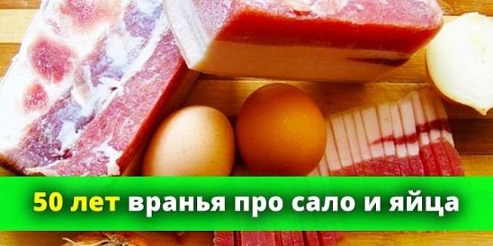 Песня про сало. Яйца полезные советы.