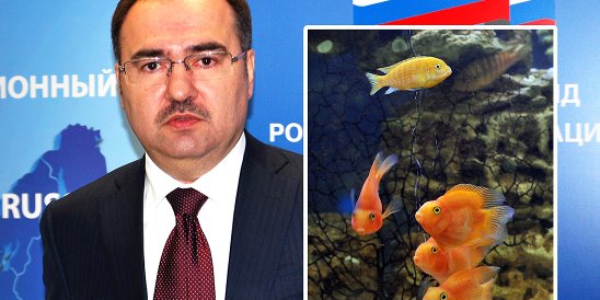  http://www.interessant.ru/politics/piensionnyi-fond-tratit-die-1