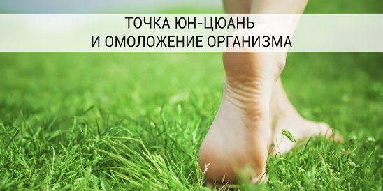 Картинки по запросу pedi.cure solutions electric callus remove - blue