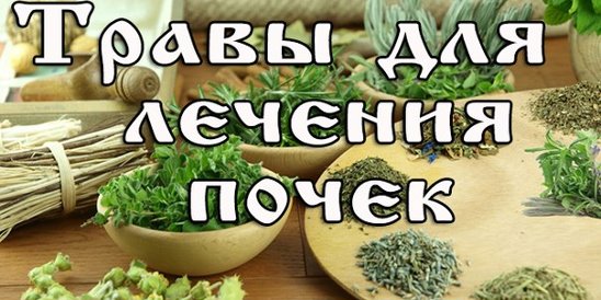Как ле ит почки. Лекарство от заболевания почек и мочевыводящих путей. Лечение почек у женщин дома. Медицинская сестра и почки. Лечение почек у женщин дома.