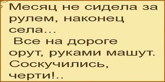 За что сел пальто. Анекдоты про женщин за рулем. Анекдоты про водителей женщин. Анекдоты про девушек за рулем. Анекдоты про женщин за рулем смешные.