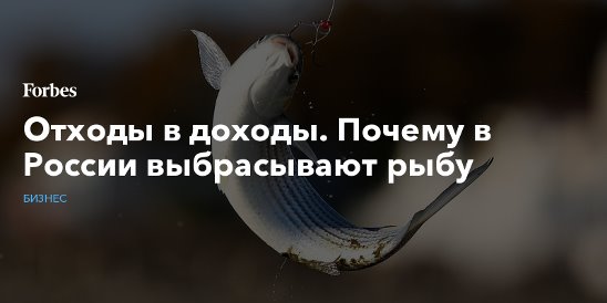 Почему рыба выплевывает корм. Почему рыба выплевывает корм