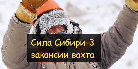 Сила сибири надпись. Работа без опыта. Сила сибири реклама. Сила сибирь работа. Сила сибири - 2.